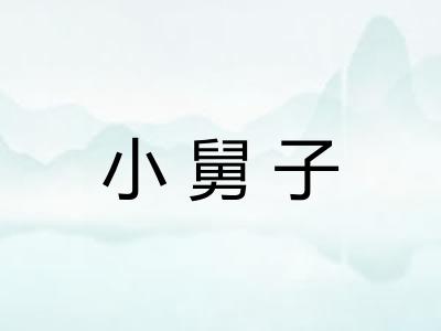 小舅子