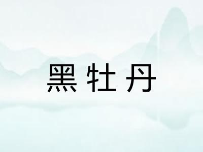 黑牡丹