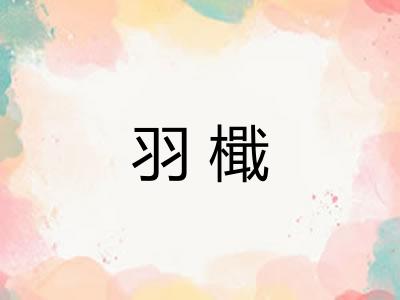 羽檝