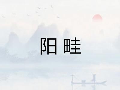 阳畦