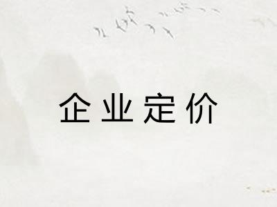 企业定价