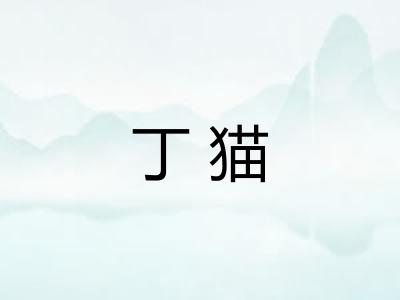 丁猫