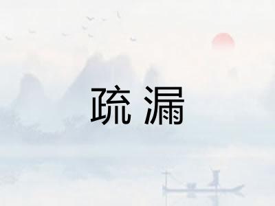 疏漏