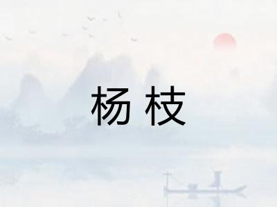 杨枝