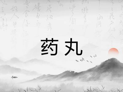 药丸