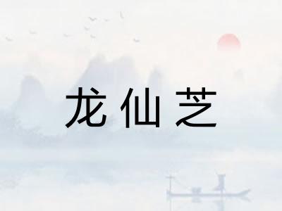 龙仙芝