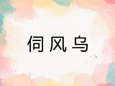 伺风乌