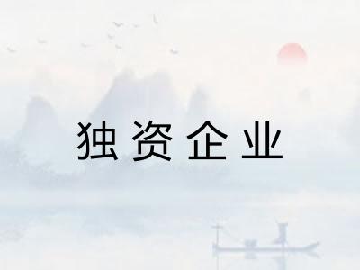 独资企业