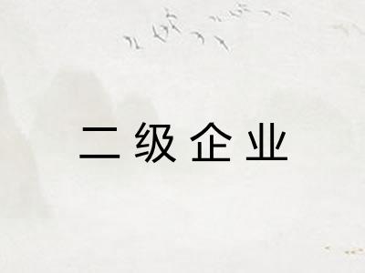 二级企业