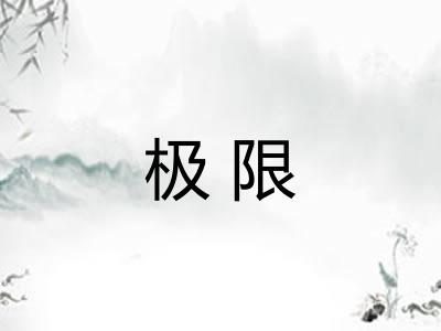 极限